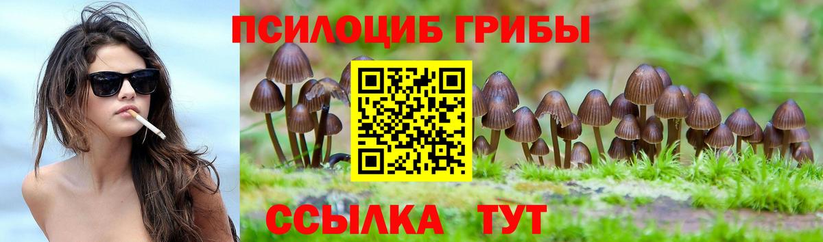 Углич  Псилоцибиновые грибы Psilocybe  Вход с VPN  Псилоцибиновые грибы Magic Shrooms 