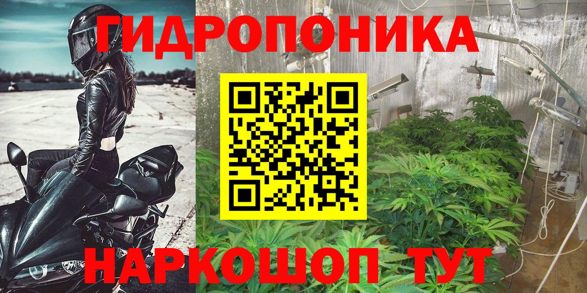 Бошки Шишки конопля  Вход с VPN  Углич  Конопля тримм  Марихуана гибрид 
